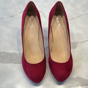 Elegant Wine Color Women's Pumps